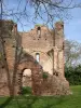 Saint-Sulpice-la-Pointe - Le château du Castela