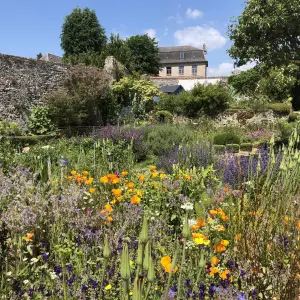 Entrelacs de parterres thématiques 