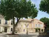 Sainte-Cécile-les-Vignes - Tourism, holidays & weekends guide in the Vaucluse