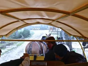 Paseo a caballo en la reserva.