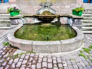 Brunnen vor dem Rathaus (© JE)