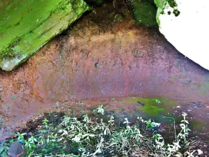 Source inside the second cave near the chapel Saint-Colomban (© JE)