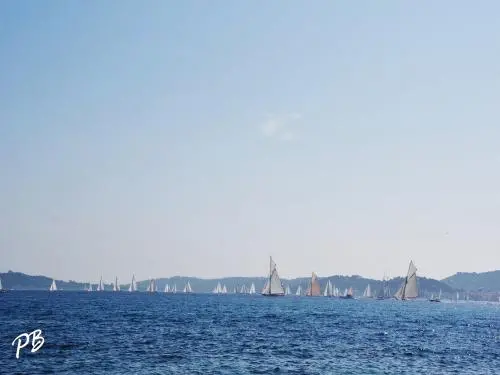 Sainte-Maxime - Regatta - The Sails of Saint-Tropez