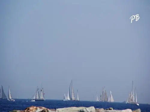 Sainte-Maxime - Regatta - The Sails of Saint-Tropez