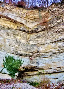 Au pied de la falaise, l'entrée de la grotte (© J.E)