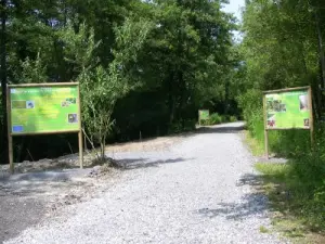 Sentier découverte