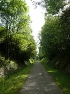 L'allée verte qui va de Salies-de-Béarn à Escos