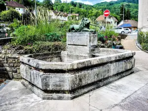 Löwenbrunnen - Place Aubarède (© JE)