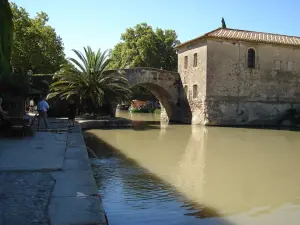 Village Sallèles-d'Aude (© Frantz)