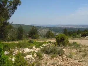 Massif du Gros Cerveau