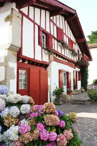 Haus mit Blumen