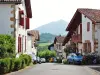 Street and houses