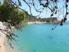 Playa de Conca - Lugar de ocio en Sartène