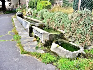 Fontaine-irrigazione tre bidoni in Espinasse (© J.E)