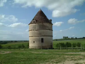 Pigeonnier du château Filhot