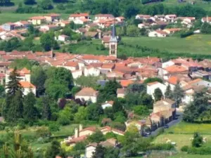 View of the village