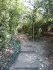 Parque del Castillo de los Vaults - Lugar de ocio en Savennières