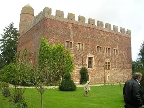 Castle of Juis - Monument in Savigneux