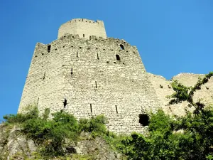 The Ortenbourg, seen from the defensive ditch (© J.E)