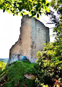 The Ramstein, seen from the outer edge of the defensive ditch (© J.E)