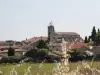 Sérignan-du-Comtat - Guía turismo, vacaciones y fines de semana en Vaucluse
