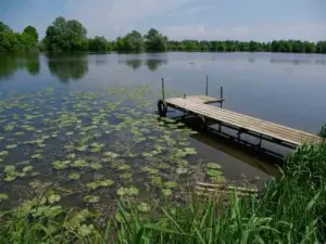 Die Saône Seurre: Angeln vor Ort