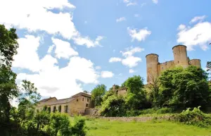 The castle of Loupiac