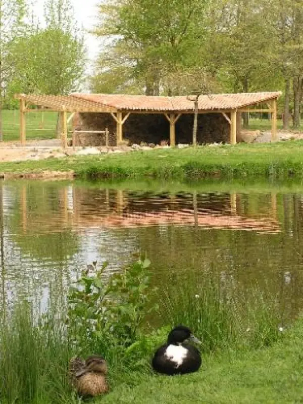 Parc de loisirs   - Lieu de loisirs à Sèvremoine