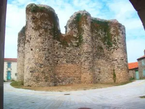 Les Châtelliers-Châteaumur - Donjon de Châteaumur