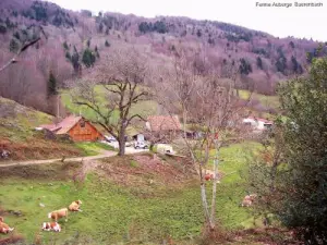 Site de la ferme-auberge Baerenbach