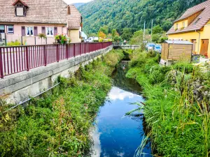 Le Seebach, dans le village (© J.E)