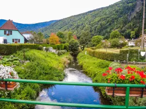 Le Seebach, en amont du village (© J.E)