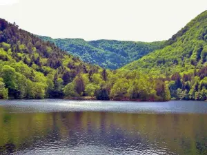 Lac d'Alfeld