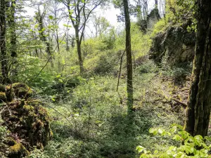 Second defensive moat east of Silley Castle (© J.E)