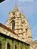 Pijlen van de torens van Saint-Jean-des-Vignes (© J.E)