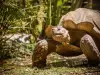 Sorède - La Vallée des Tortues 