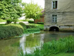 Moulin