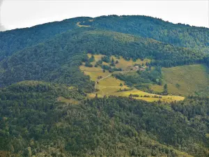 Col Amic, gezien vanaf de Grand Ballon-weg (© J.E)