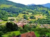 Soultzeren - Gids voor toerisme, vakantie & weekend in de Haut-Rhin