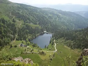 Estanque de truchas (Lac du Forlet)