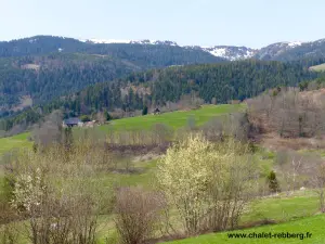 Hacia el Col du Wettstein