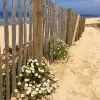 Soustons playa 