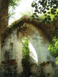 Ruinas del priorato de Montoussant (propiedad privada)