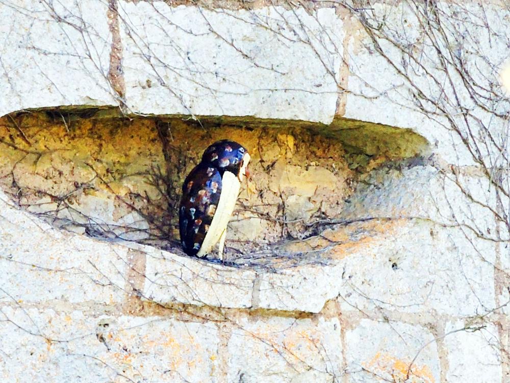 Photos Soye Tourisme, Vacances & Weekend