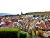 Steinbach - Tourism, holidays & weekends guide in the Haut-Rhin