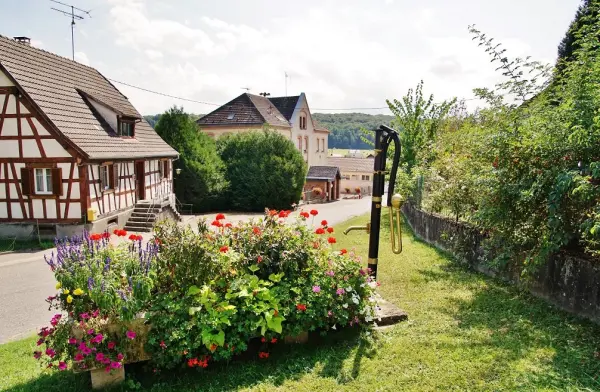 Steinsoultz - Guide tourisme, vacances & week-end dans le Haut-Rhin