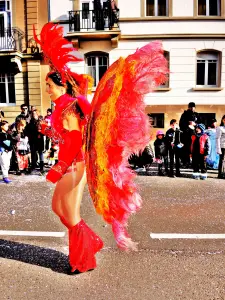 Carnaval (© Jean Espirat)