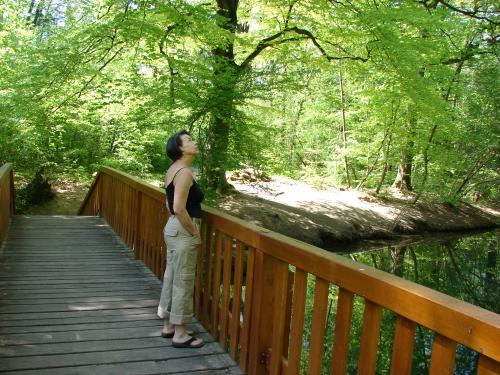 Strasbourg - Rhine Forest (protected)