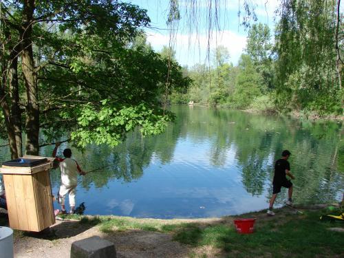 Strasbourg - Rhine Forest (protected)