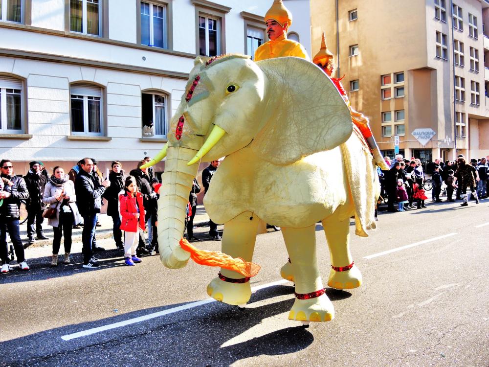 Strasbourg - Carnival (© Jean Espirat)